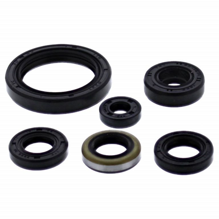 Engine Oil Seal Kit WINDEROSA 822379