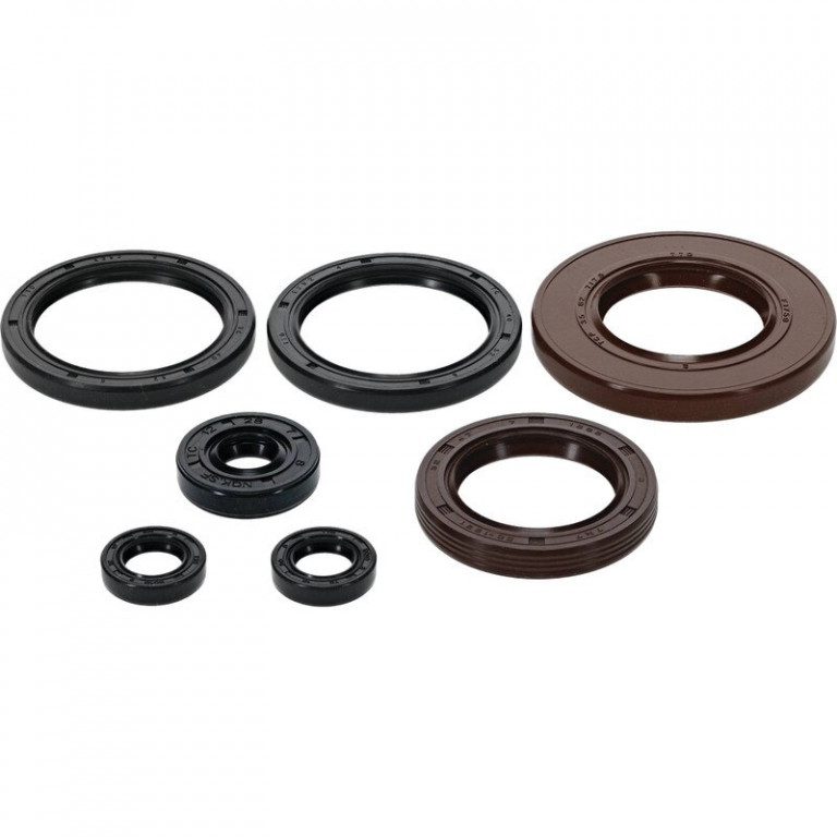 Engine Oil Seal Kit WINDEROSA 822401
