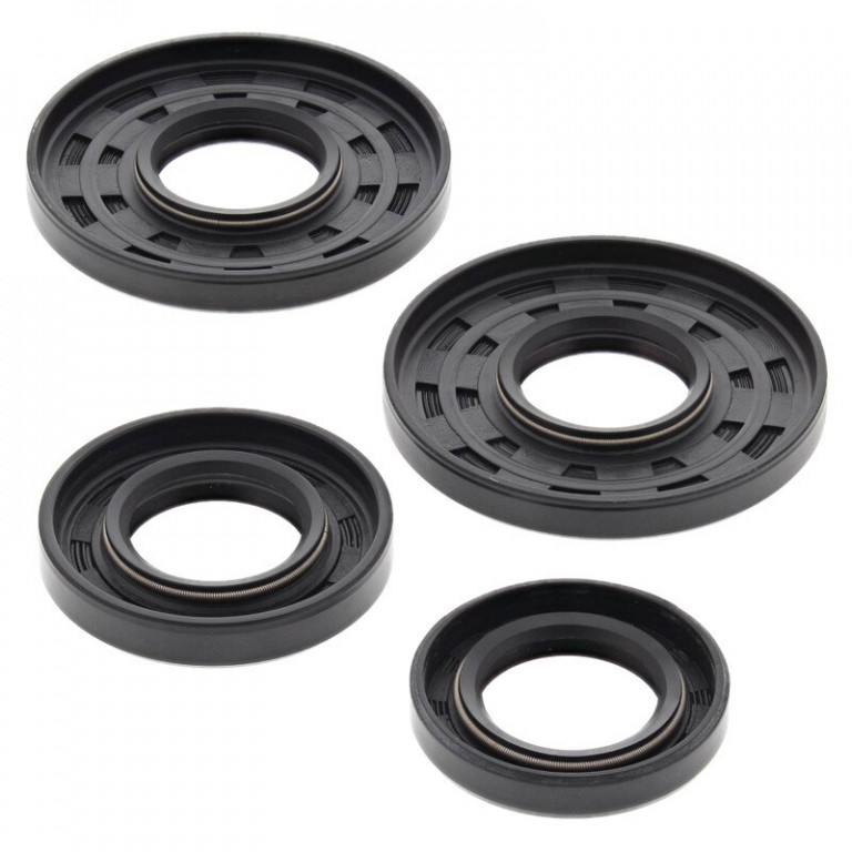 Oil seal set WINDEROSA 622115