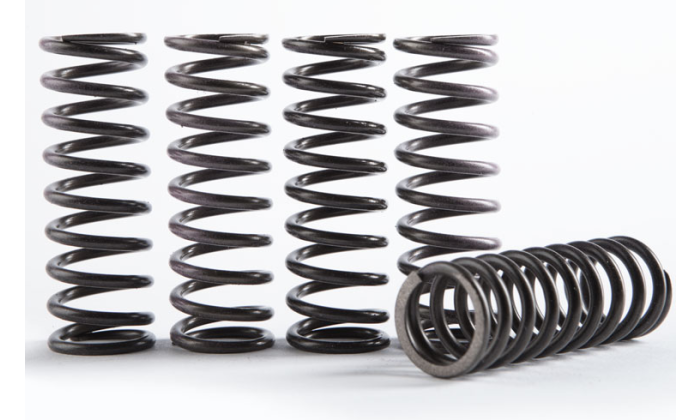 Hi-Temp Clutch Spring Kit HINSON CS663-1-2101