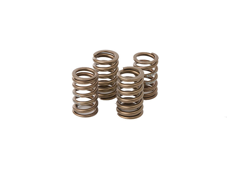 Valve spring kit HOT CAMS VSK1009
