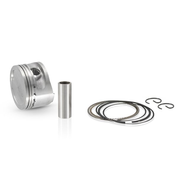 Klip set Evok 100091010